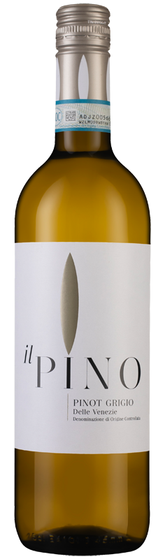 Il Pino Pinot Grigio 2024 Il Pino Pinot Grigio 2024